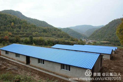 新澳门彩出号综合走势图和央视曝光云养殖骗局与央视曝光云养殖骗局是真的吗