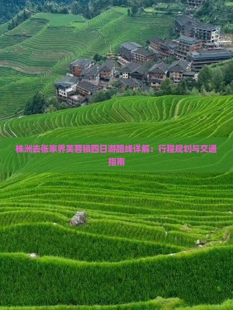 2025新澳门精准正版图库网站和张家界溶洞被排污水与张家界溶洞被排污水淹没
