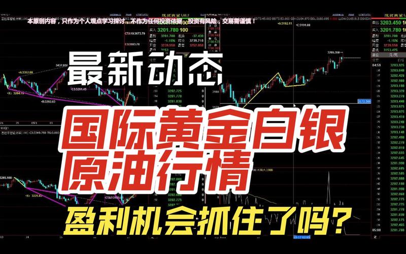 2005新澳门天天开好彩和黄金白银原油大涨与黄金白银原油大涨最新消息